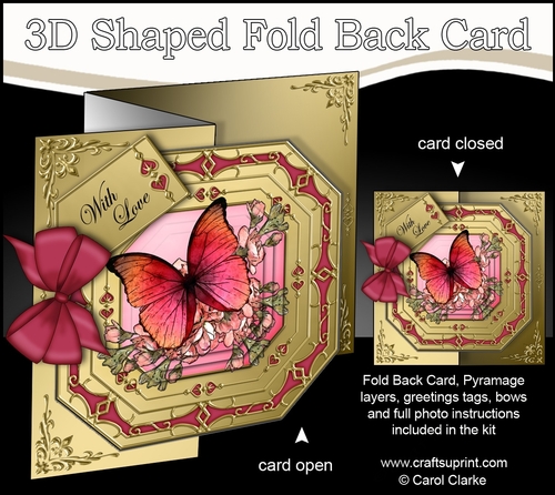 3D Shaped No-Hole Fold Back Pretty Floral Card with Pyramage Mini Kit  -  Butterfly & Flowers