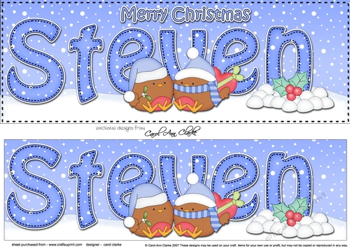Large DL Merry Christmas STEVEN 3D decoupage 