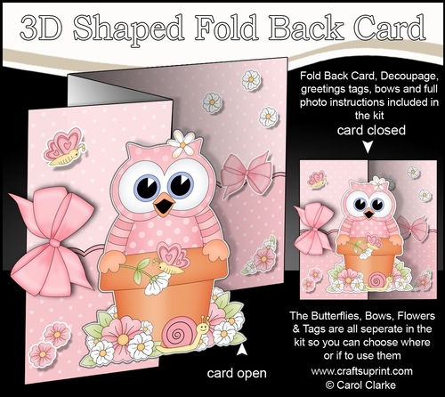 3D Shaped No-Hole Fold Back Card Kit - Flowerpot Friends - Cute Little Hoot Owl