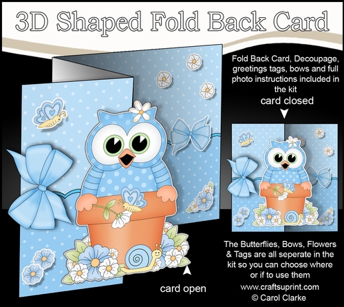 3D Shaped No-Hole Fold Back Card Kit - Flowerpot Friends - Cute Little Hoot Owl