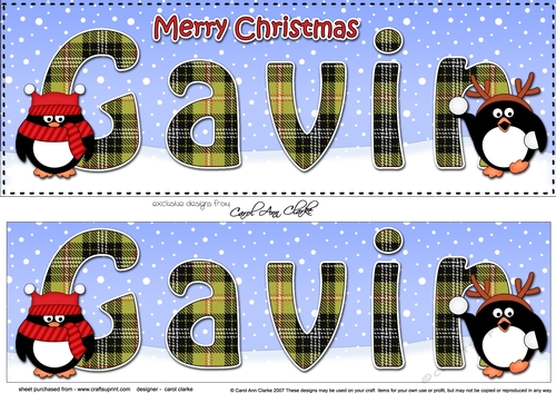 Large DL Merry Christmas GAVIN 3D decoupage 