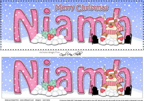 Large DL Merry Christmas NIAMH 3D decoupage 