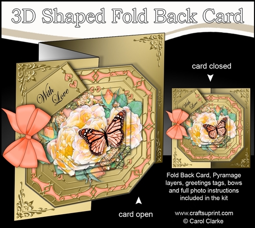 3D Shaped No-Hole Fold Back Pretty Floral Card with Pyramage Mini Kit  - Butterfly & Roses