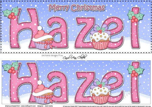Large DL Merry Christmas HAZEL 3D decoupage 