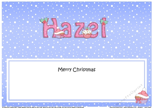 Large DL Merry Christmas HAZEL insert