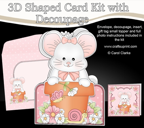 3D Shaped Card  Kit - Flowerpot Friends - Cute Little Mouse Squeak