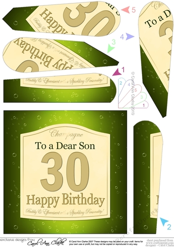 30th Birthday SON Champagne Label Fan Pyramage Topper