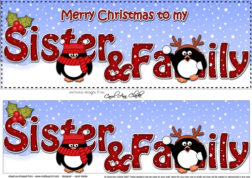 Large DL Merry Christmas SISTER & FAMILY 3D decoupage 