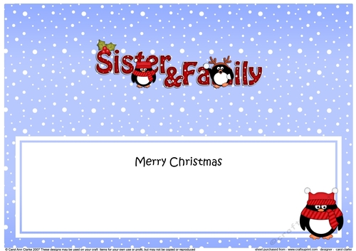Large DL Merry Christmas SISTER & FAMILY insert