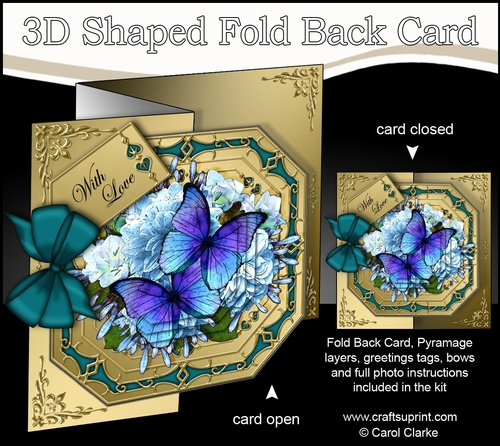 3D Shaped No-Hole Fold Back Pretty Floral Card with Pyramage Mini Kit  -  Butterfly Blues