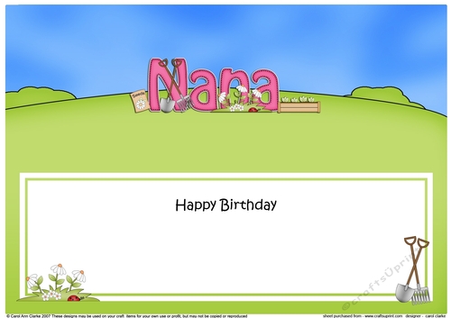 Large DL Happy Birthday NANA insert