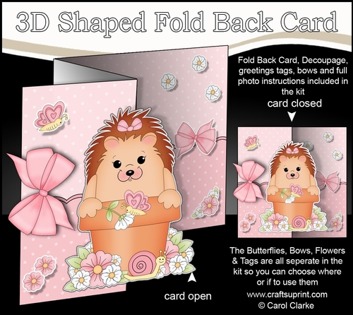 3D Shaped No-Hole Fold Back Card Kit - Flowerpot Friends - Cute Little Hedgehog Spike
