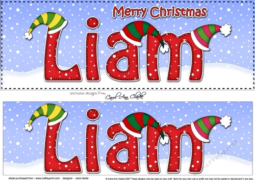 Large DL Merry Christmas LIAM 3D decoupage 
