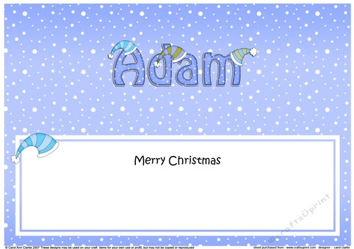 Large DL Merry Christmas ADAM insert