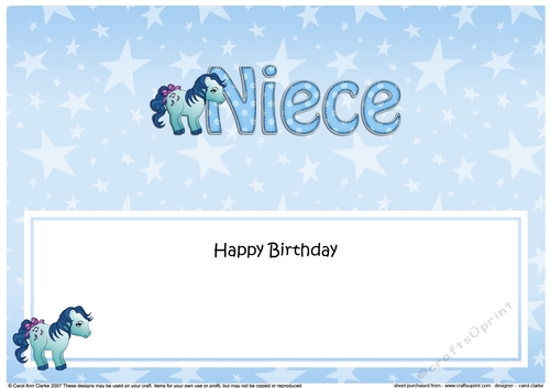 Large DL Happy Birthday NIECE insert