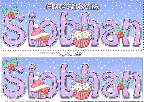 Large DL Merry Christmas  SIOBHAN 3D decoupage 