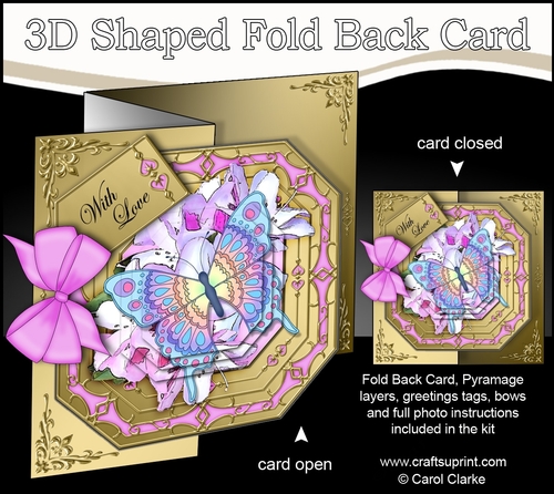 3D Shaped No-Hole Fold Back Pretty Floral Card with Pyramage Mini Kit  -  Butterfly & Flowers