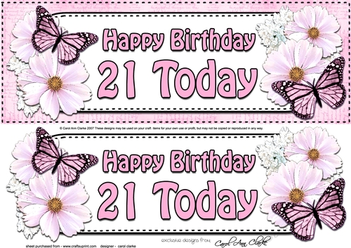Large DL Happy Birthday 21 TODAY Floral Butterflies 3D decoupage