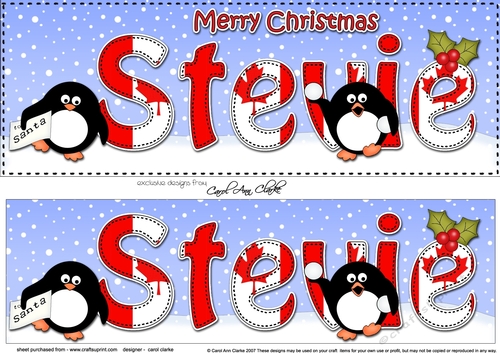 Large DL Merry Christmas STEVIE 3D decoupage 