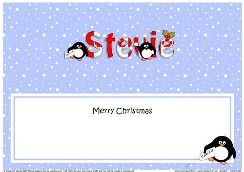 Large DL Merry Christmas STEVIE insert