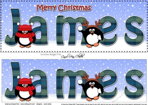 Large DL Merry Christmas JAMES 3D decoupage 