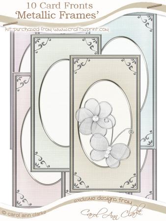 Dl 'silver Metallic Frame' Card Fronts Kit