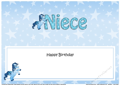 Large DL Happy Birthday NIECE insert