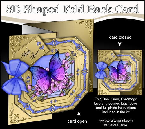 3D Shaped No-Hole Fold Back Pretty Floral Card with Pyramage Mini Kit  -  Butterfly & Flowers 