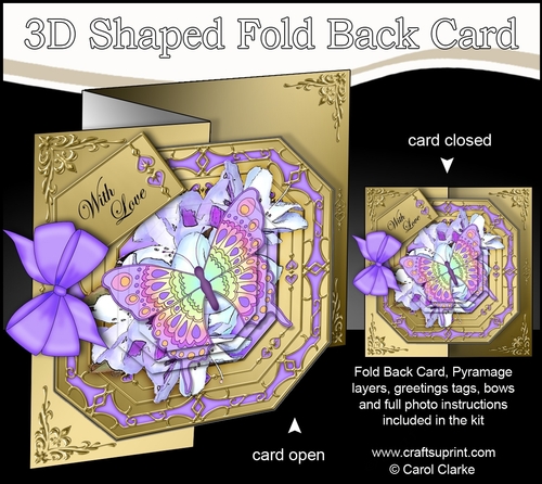 3D Shaped No-Hole Fold Back Pretty Floral Card with Pyramage Mini Kit  -  Butterfly Bouquet