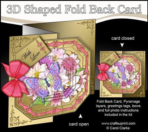 3D Shaped No-Hole Fold Back Pretty Floral Card with Pyramage Mini Kit  -  Butterfly & Flowers