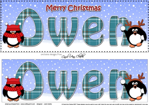 Large DL Merry Christmas OWEN 3D decoupage 