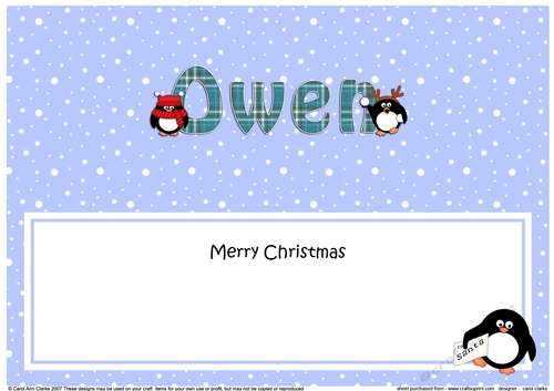 Large DL Merry Christmas OWEN insert
