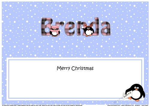 Large DL Merry Christmas BRENDA insert