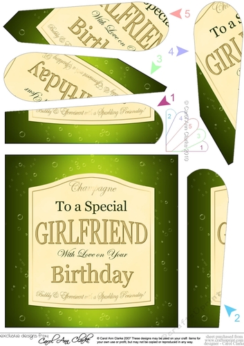 Happy Birthday GIRLFRIEND champers Wine Label Fan Pyramage Topper