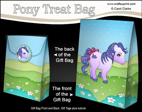 3D Gift Bag Mini Kit - Cute Little Pony Twilight 