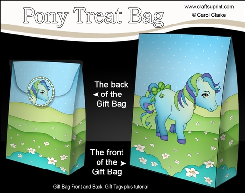 3D Gift Bag Mini Kit - Cute Little Pony Peppermint
