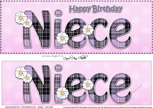 Large DL Happy Birthday NIECE 3D decoupage