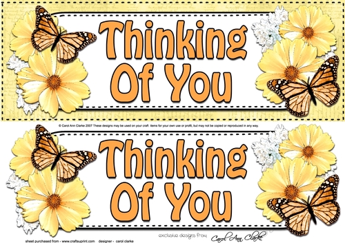 Large DL THINKING OF YOU Floral Butterflies 3D decoupage