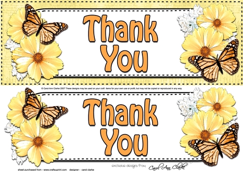 Large DL THANK YOU Floral Butterflies 3D decoupage