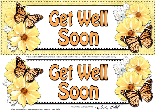 Large DL GET WELL SOON Floral Butterflies 3D decoupage