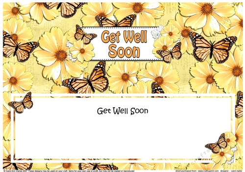 Large DL GET WELL SOON Floral Butterflies insert