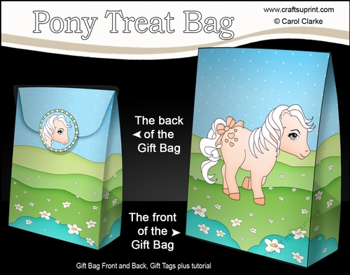 3D Gift Bag Mini Kit - Cute Little Pony Marmalade