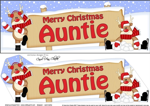 large DL Merry Christmas AUNTIE with Rudolph 3D decoupage