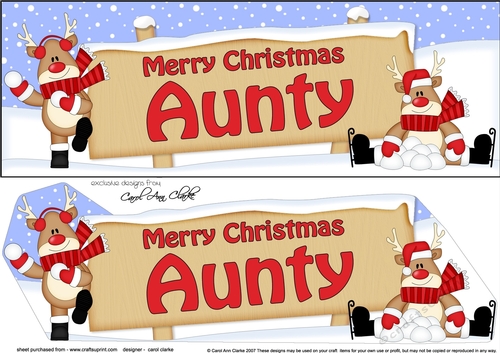 large DL Merry Christmas AUNTY with Rudolph 3D decoupage