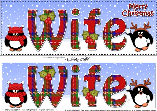 Large DL Merry Christmas WIFE 3D decoupage 