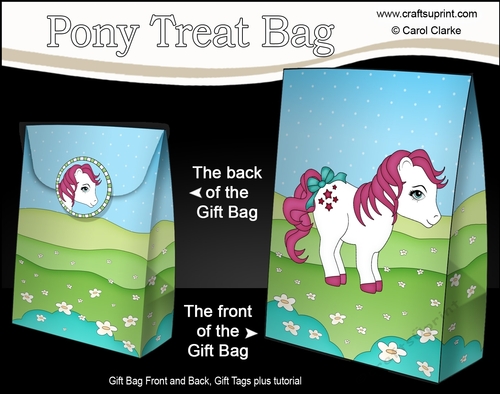 3D Gift Bag Mini Kit - Cute Little Pony Berry