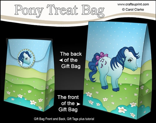3D Gift Bag Mini Kit - Cute Little Pony Melody