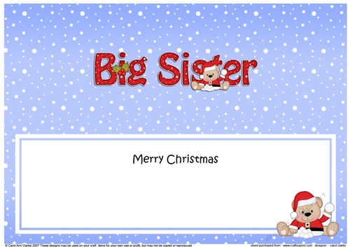 Large DL Merry Christmas BIG SISTER insert