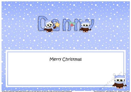 Large DL Merry Christmas DANNY insert