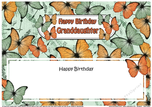 Large DL Happy Birthday GRANDDAUGHTER Butterflies matching insert